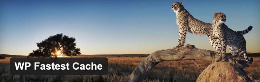Wp fastest cache WordPresss speedup cache plugin